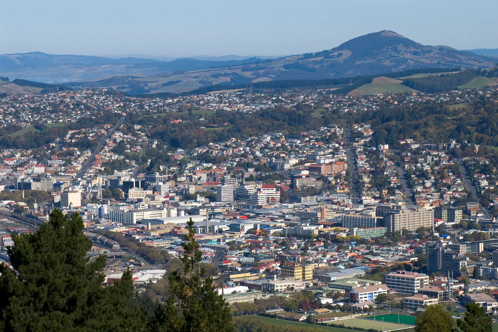 Dunedin